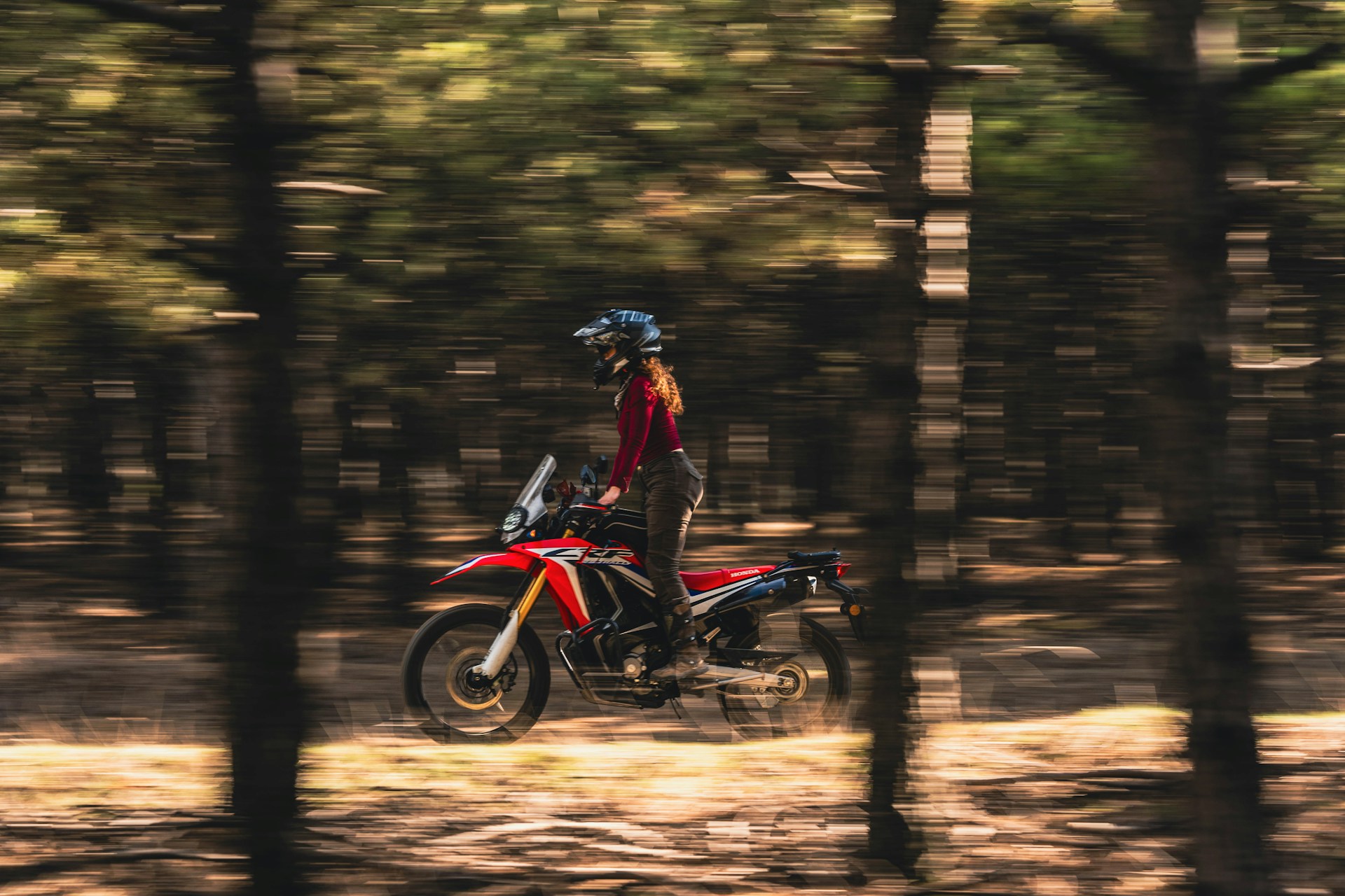 Rear Suspension and Progression